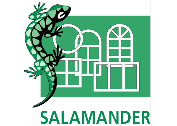 Salamander